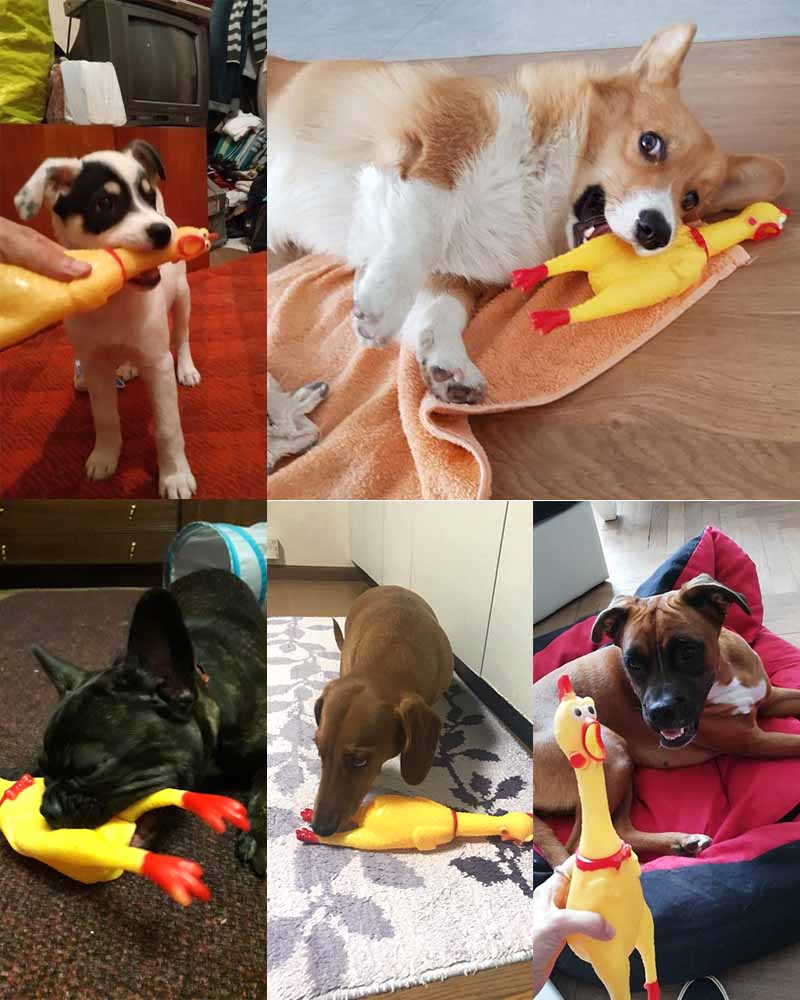 17cm/30cm/39cm Screaming Chicken Shrilling Sound Squeeze Toy Pets Pet Dog Toys Product Decompression Tool Funny gadgets baby toy