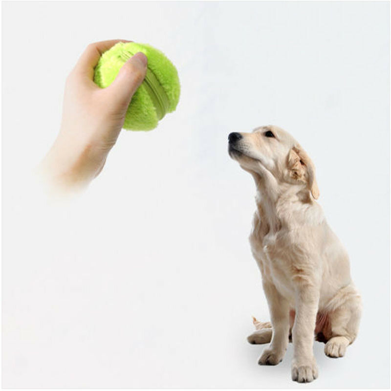 Pet Puppy Kitty Electric Toys Ball Automatic Pet Ball Plush Floor Clean Gadget Automatically Change Direction,Irregular Rolling