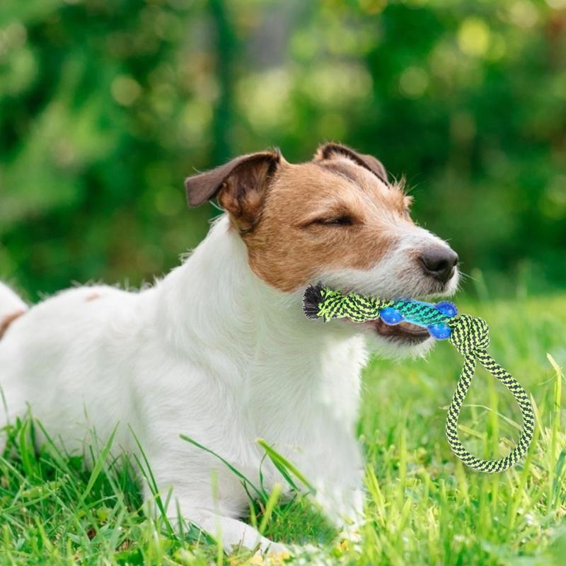 8pcs Green Cotton Rope Puppy Toy Set Delicate Dog Molar Bite Resistant Toy Pet Supplies Necessary Pet Decompression Gadgets