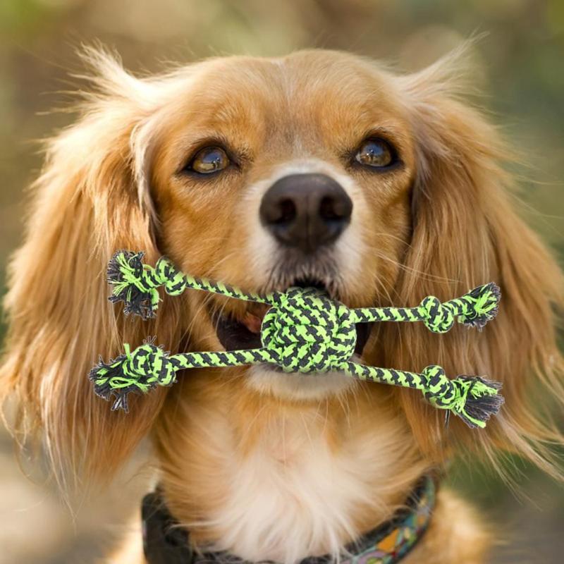 8pcs Green Cotton Rope Puppy Toy Set Delicate Dog Molar Bite Resistant Toy Pet Supplies Necessary Pet Decompression Gadgets