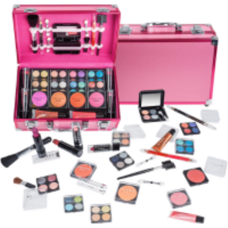 SHANY Carry All Make up Train Case with Pro Makeup Set , Beauty Brushes, Lipsticks, Eye Shadows, Blushes, Powders, and more