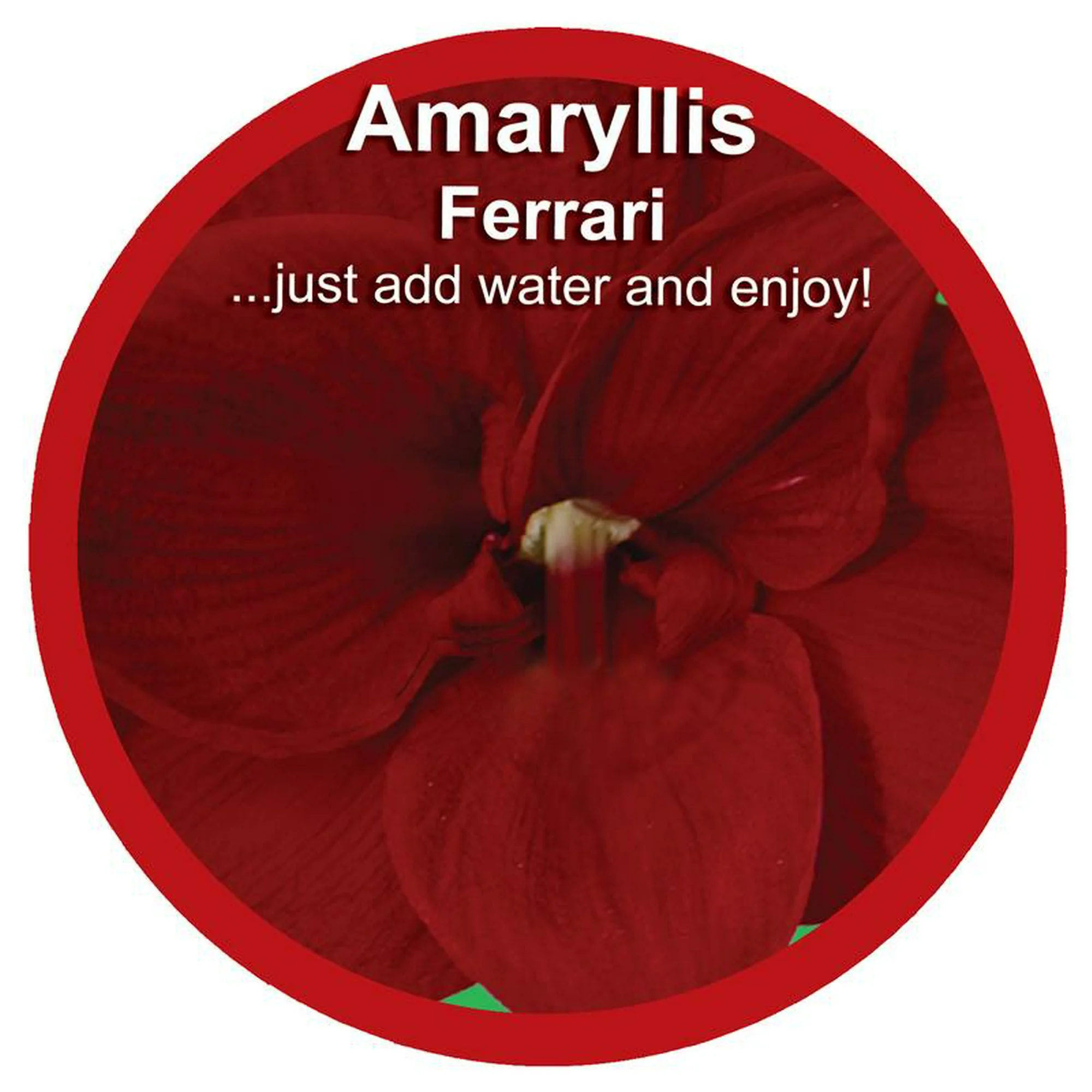 bd214fac-21a4-4f7a-9fb8-b2e3517d0337.7cee3d614feb947524bb75cb758eb46d