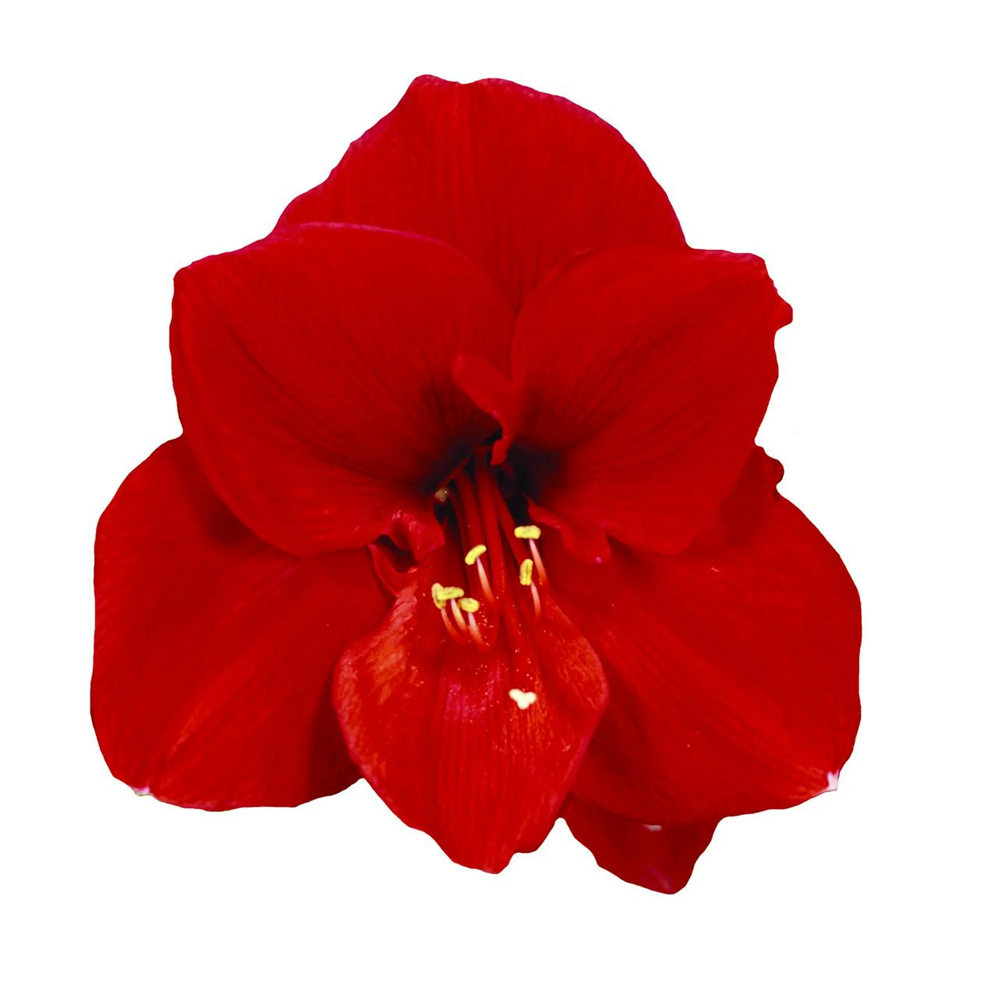 edb94fab-edab-4596-8b9a-e7dc693affcd.f5002ee33a7bf7a688017328be70eaa0